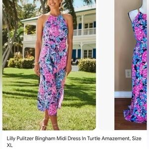 Size L Bingham Dress